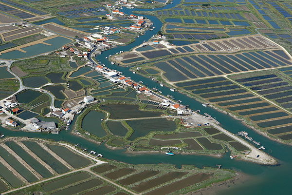 Port ostréicole de La Grève à Duret, Arvert, Charente-Maritimes