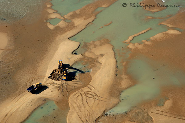 Reconstruction des dunes de la pointe d'Arçay, Xynthia, Vendée