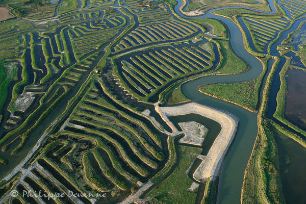 Marais du Payré et du Veillon, Vendée (85)