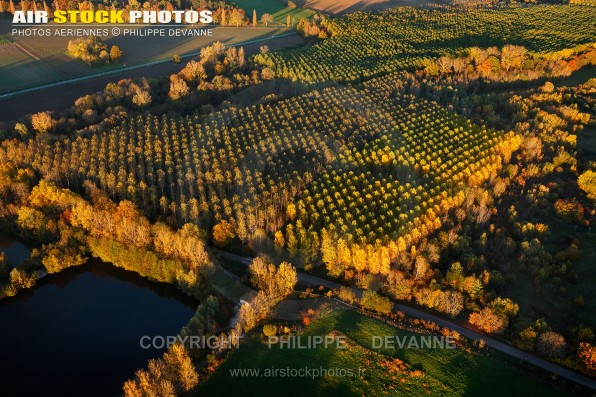 Photo aérienne d'automne des forêts de peupliers de la Belle Etoile à  Saint-Maurice-Montcouronne (91530), commune du pays de l'Hurepoix, département de l'Essonne, région Île-de-France. Nov. 2015