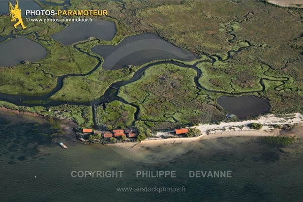 Photographie aérienne de l'ïle aux oiseaux, zone naturelle sensible au centre du bassin d'Arcachon, sur la commune de la Teste-de-Buch (33260), département de la Gironde, région Aquitaine, France - Juillet 2015