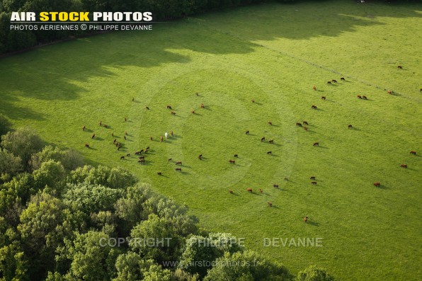 Photographie aérienne Elevage de bovin , commune de Bullion (78120),  département des Yvelines , en région Île-de-France, France. Commune située à 4 km au nord de Rambouillet . Prise de vue paramoteur du