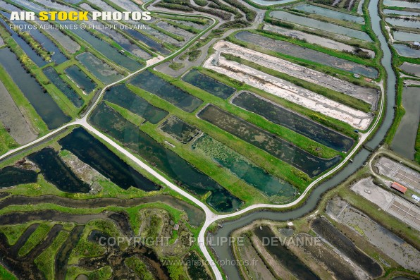 Photo aérienne des marais salant de la vie sur les communes de Saint-Gilles-Croix-de-Vie et Saint-Hilaire-de-Riez (85) , département de la Vendée; région Pays de la Loire, France. Prise de vue 21 avril 2016