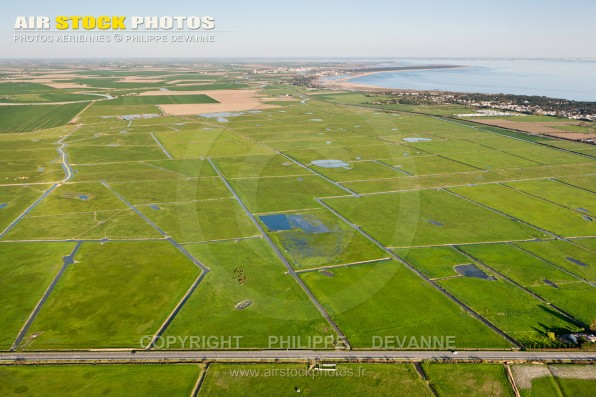 Photographie aérienne du Marais Poitevin en Vendée (85) situé sur les commune de Angles, Grues et St-Michel-en-l'Herm en région Pays de la Loire Atlantique, France. Prise de vue d'avril 2017