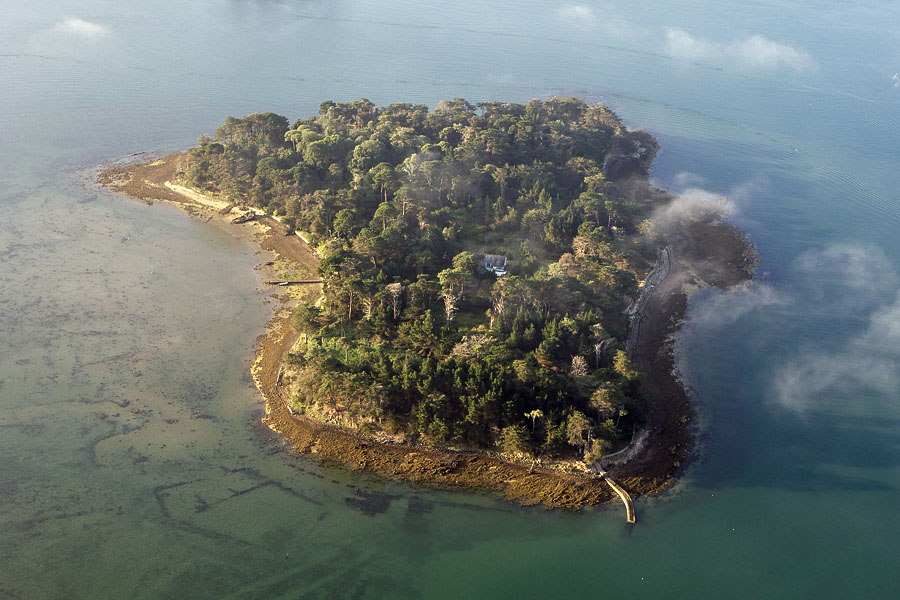 Er Runio ( Île Renauld) , Golfe du Morbihan (56)