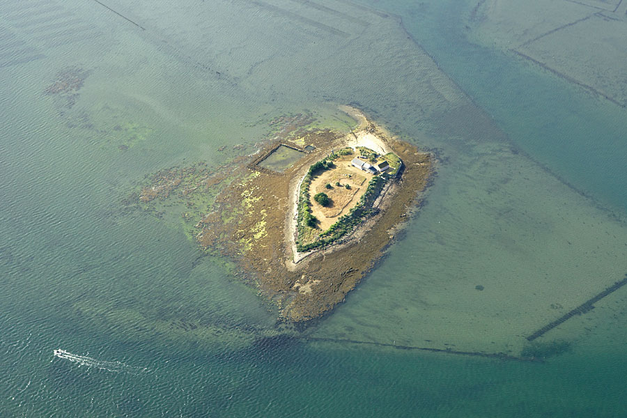 vue aérienne de l'île aux Oeufs,  Golfe du Morbihan (56)