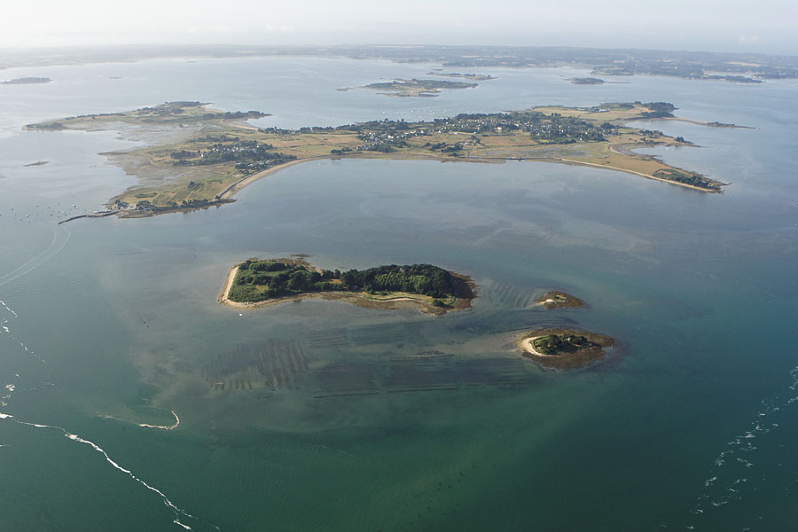 vue aerienne de l'île Drenec (île d'Arz), Golfe du Morbihan (56)