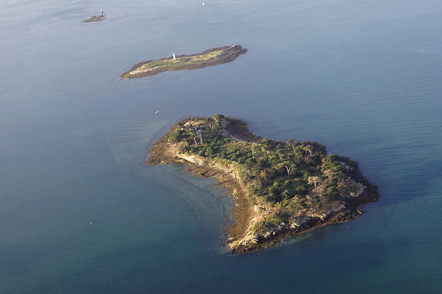 Ile grand Veizit du Golfe du Morbihan (56)