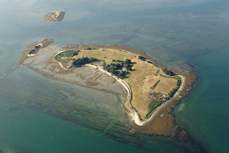 Île Iluric, commune de l'Île-d'Arz, du Golfe du Morbihan (56)