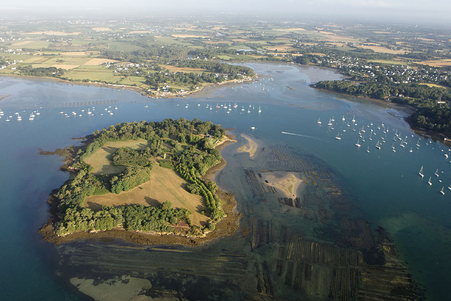 vue aerienne de l'île Irus,  Golfe du Morbihan (56)