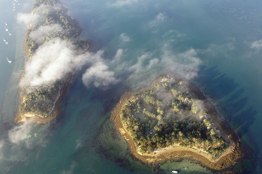 L'îles Radenec et l'île Longue , Golfe du Morbihan (56)