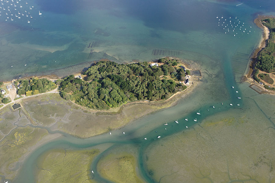 vue aerienne Pointe de Bréhuidic,  Golfe du Morbihan (56)
