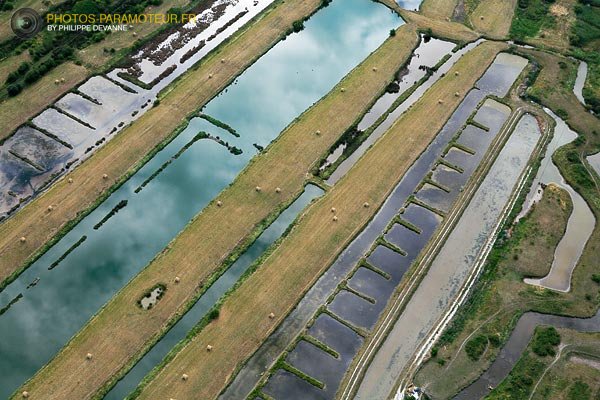 parc-ostreicole-marennes