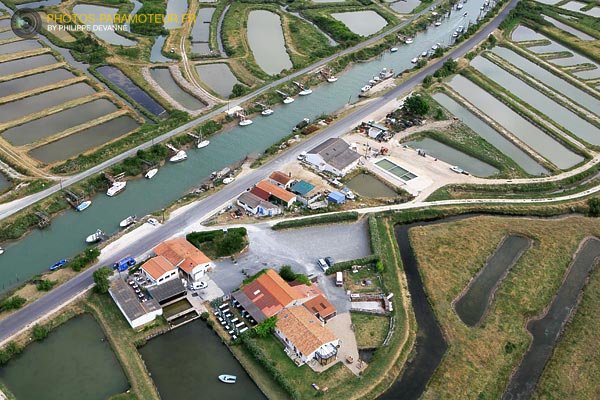 port-ostreicole-marennes-huitres