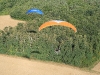 Deux paramoteurs au dessus de la forêt