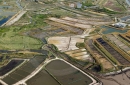 Marais salants de île-d'Oléron vue du ciel