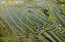 Marais de Jard-sur-Mer vue du ciel