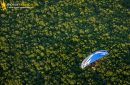 Forêt de Saint-chéron survolée par un paramoteur vue du ciel