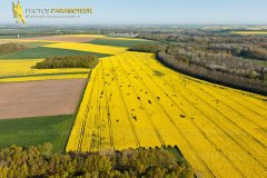 Champs de colza en Beauce vue du ciel