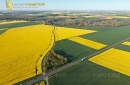 Champs de colza en Beauce vue du ciel