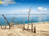 Dune du Pilat ( Pyla 33 ) Juillet 2014