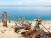 Dune du Pilat ( Pyla 33 ) Juillet 2014