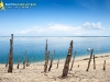 Dune du Pilat ( Pyla 33 ) Juillet 2014