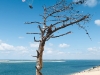 Dune du Pilat ( Pyla 33 ) Juillet 2014