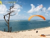 Dune du Pilat ( Pyla 33 ) Juillet 2014