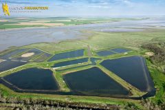 Natural reserve seen from the sky, La faute-sur-Mer, France