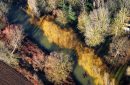 Colorful forest and an Seine river arm seen from the sky in Mantes-la-Jolie, in Yvelines