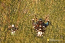 Paramoteur en ile-de-France